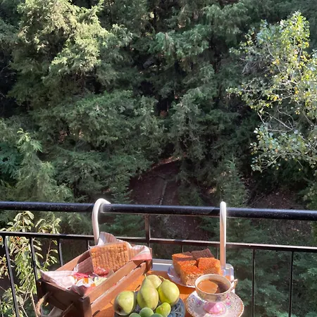 Apartment τα πέτρινα γεφύρια 2 Dimitsana