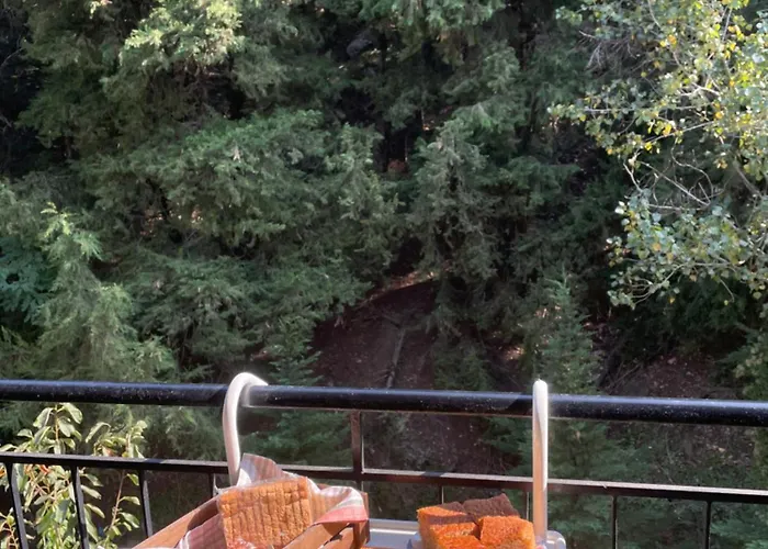 Appartement τα πέτρινα γεφύρια 2 Dimitsana