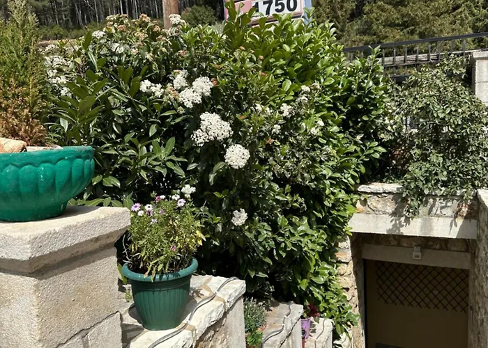 Appartamento τα πέτρινα γεφύρια 2 *